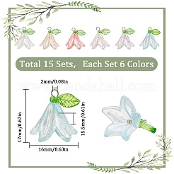 Transparent Acrylic Pendants&nbsp;FIND-SC0009-19