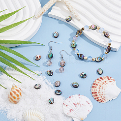 20Pcs Abalone Shell/Paua Shell Beads&nbsp;SSHEL-FI0001-03