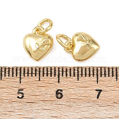 Brass Charms&nbsp;KK-Z132-19G