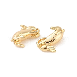 Brass Charms&nbsp;KK-Q816-38G