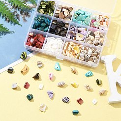 198G 11 Styles Natural Mixed Shell Beads Sets&nbsp;BSHE-FS0001-05