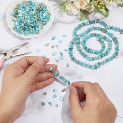 Natural Freshwater Shell Beads Strands&nbsp;BSHE-WH0006-05B