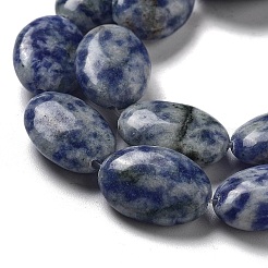 Natural Blue Spot Jasper Beads Strands&nbsp;G-P528-M26-01