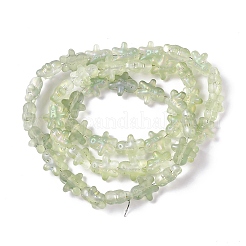 Full Rainbow Plated Forsted Electroplate Glass Beads&nbsp;GLAA-P005-FR03