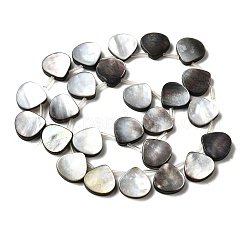 Natural Black Lip Shell Beads Strands&nbsp;BSHE-D300-08