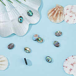 10Pcs Natural Paua Shell Beads&nbsp;SSHEL-FI0001-04