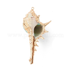 Electroplate Spiral Shell Big Pendants&nbsp;BSHE-C004-06