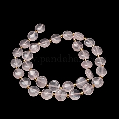 Natural Rose Quartz Beads Strands&nbsp;G-H005-B15-01