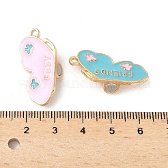 Alloy Pearl Pink and Sky Blue Enamel Split Pendants&nbsp;PALLOY-V006-03C-G