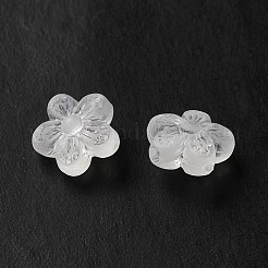 Transparent Acrylic Beads&nbsp;OACR-L013-006