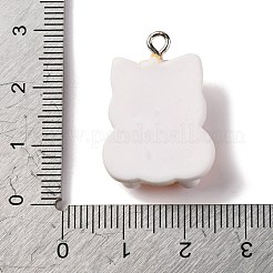 Halloween Theme Opaque Resin Pendants&nbsp;RESI-D075-03E
