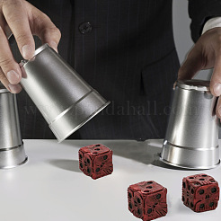 Resin 6 Sided Dices&nbsp;SKUL-PW0002-101
