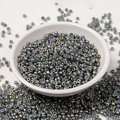 MIYUKI Round Rocailles Beads&nbsp;SEED-G008-RR4557