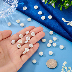 30Pcs 5 Styles Natural Freshwater Shell Beads&nbsp;SHEL-TA0001-32