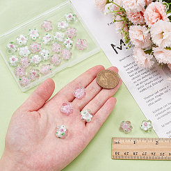 30Pcs 2 Colors Handmade Lampwork Beads&nbsp;LAMP-WR0001-06