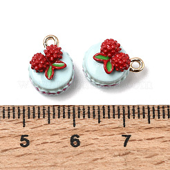 Alloy Enamel Pendants&nbsp;PALLOY-T094-03B-01
