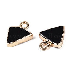 Natural Agate(Dyed & Heated) Pendants&nbsp;G-Q606-103G-01