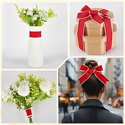 Polyester Ribbon for Sewing Decoration&nbsp;OCOR-WH20007-24C