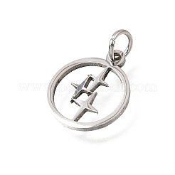304 Stainless Steel Charms&nbsp;SA-CBA4CE0-13P