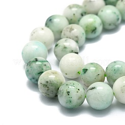 Natural Chrysocolla Beads Strands&nbsp;G-E576-04A