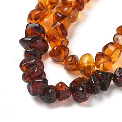 Gradient Color Natural Amber Beads Strands&nbsp;G-K387-F01-01