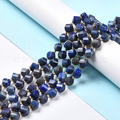 Natural Lapis Lazuli Beads Strands&nbsp;G-L579-02
