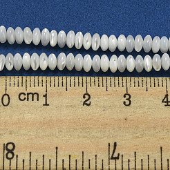 Natural Trochus Shell Beads Strands&nbsp;SSHEL-H072-11