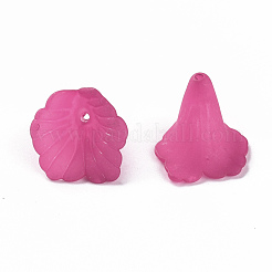 Transparent Acrylic Bead Caps&nbsp;PL551-C16