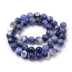 Natural South Africa Sodalite Beads Strands&nbsp;X-G-S259-35-8mm