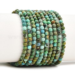 Natural HuBei Turquoise Beads Strands&nbsp;G-D100-A01-3mm