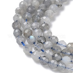 Natural Labradorite Beads Strands&nbsp;G-L651-C11-4mm