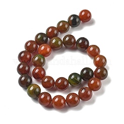 Natural Multi-Color Agate Beads Strands&nbsp;G-A261-B22-14mm