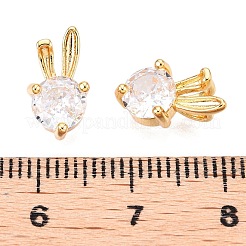 Brass Micro Pave Clear Cubic Zirconia Charms&nbsp;KK-T073-24G