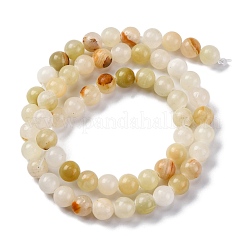 Natural Green Banded Calcite(Afghan Jade) Beads Strands&nbsp;G-B130-6mm-01