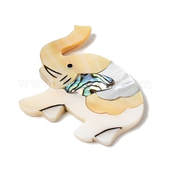 Natural Freshwater Shell & Paua Shell & White Shell Cabochons&nbsp;SHEL-C009-04