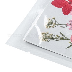 Pressed Dried Flowers&nbsp;DIY-F076-01D