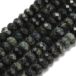 Natural Kambaba Jasper Beads Strands&nbsp;G-Z111-A14-02