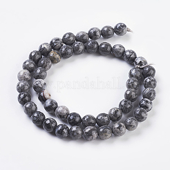Natural Map Stone/Picasso Stone/Picasso Jasper Strands&nbsp;G-G099-8mm-27