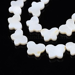 Natural Freshwater Shell Beads Strands&nbsp;SHEL-T009-A17-01