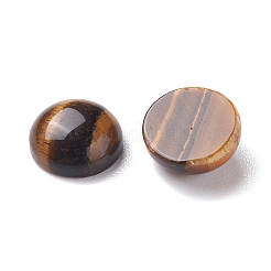 Gemstone Cabochon&nbsp;X-GP519-10MM