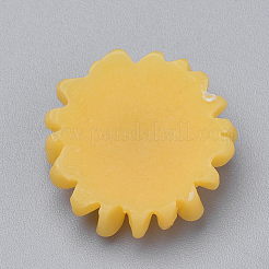 Resin Cabochons&nbsp;LS-CRES-Q197-24E