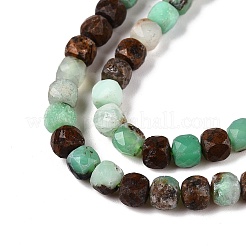 Natrual Green Opal Beads Strands&nbsp;G-N342-121