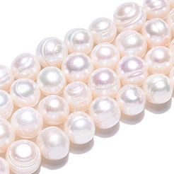 Natural Cultured Freshwater Pearl Beads Strands&nbsp;PEAR-S020-F11-01