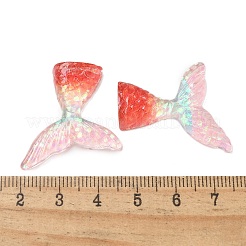 Resin Cabochons&nbsp;RESI-R456-02E