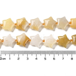 Natural Yellow Aventurine Beads Strands&nbsp;G-NH0005-008