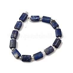 Natural Lapis Lazuli Beads Strands&nbsp;G-Z087-C01