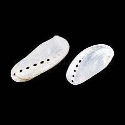 Abalone Shells Ornaments&nbsp;SHEL-T020-54