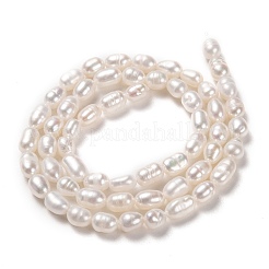 Natural Cultured Freshwater Pearl Beads Strands&nbsp;PEAR-J005-62