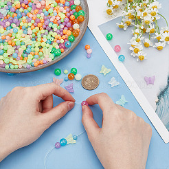 DIY Beads Kits&nbsp;DIY-PH0023-54