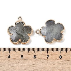 Natural Labradorite Pendants&nbsp;G-P566-01G-08